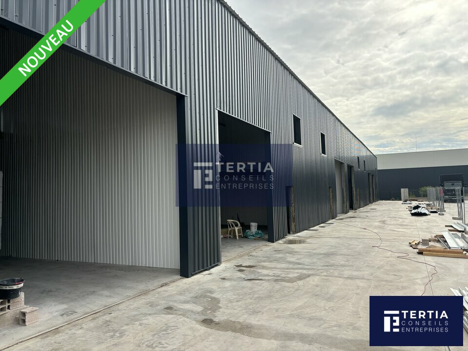 MONTPELLIER EST -  LOCAUX D ACTIVITES NEUFS DIVISBLES A LOUER 