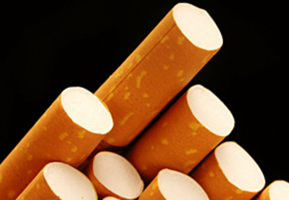 Tabac à vendre - 200.0 m2 - 61 - Orne