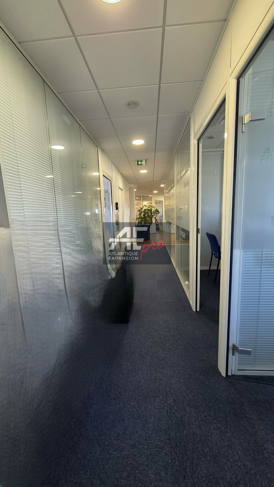 BUREAUX à LOUER