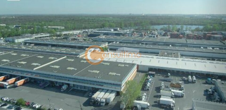 A louer - Entrepôt - Bruges