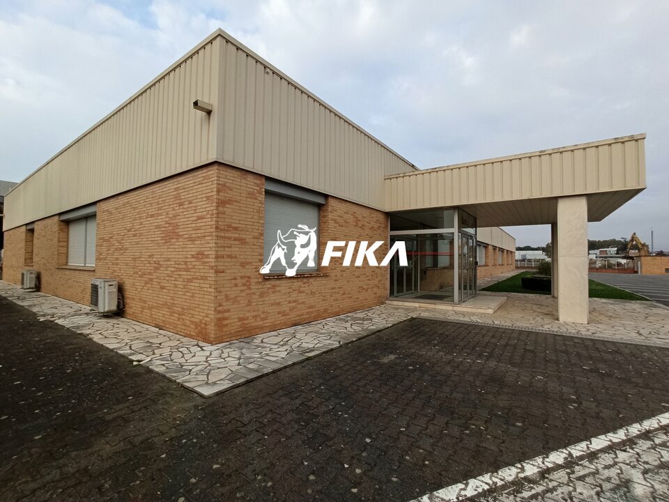 A LOUER BUREAUX 1150 m2 (31400) TOULOUSE