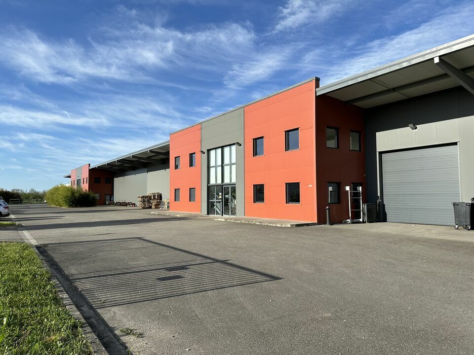 A LOUER LOCAL D'ACTIVITE 1 219 m2 - (81600) GAILLAC