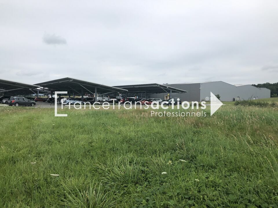 A LOUER LOCAUX COMMERCIAUX EN BEFA 500 - 2000 M² PRIME 