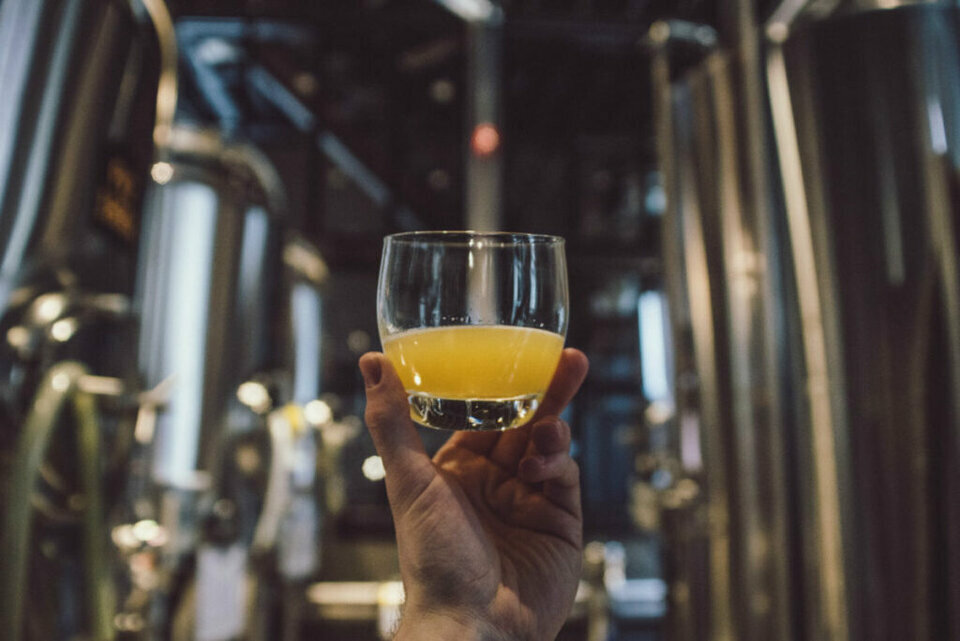 ANGERS-première couronne -MICROBRASSERIE  