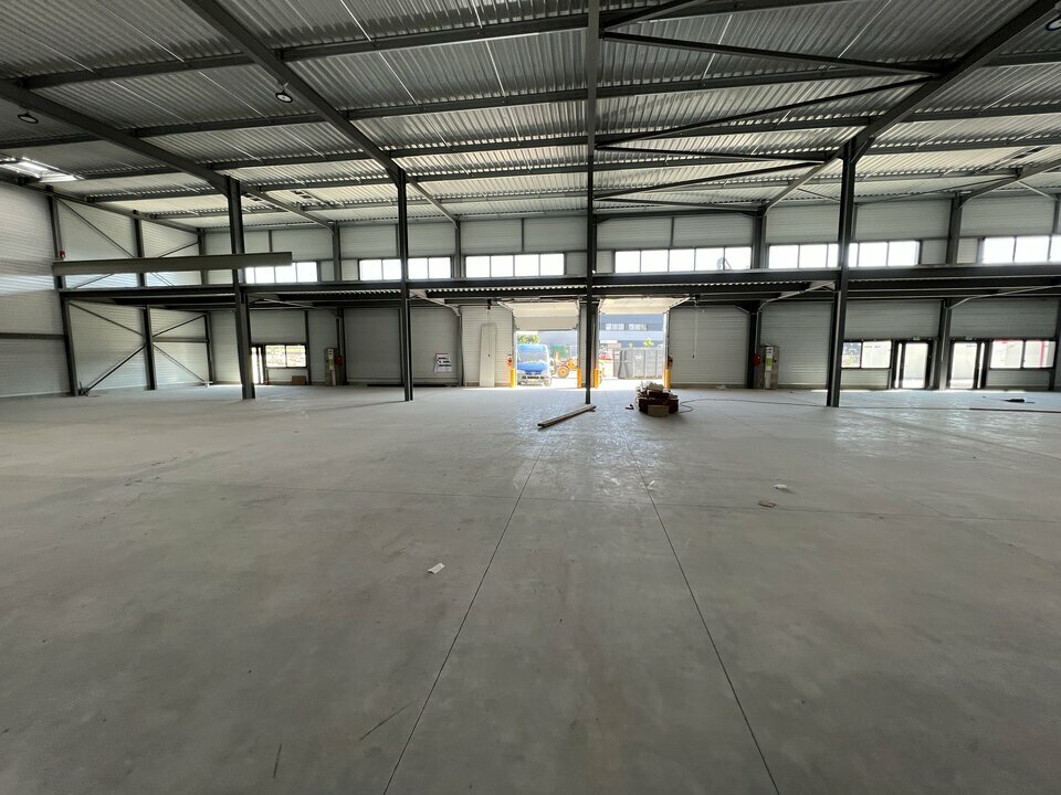 Cellules d'activité neuves