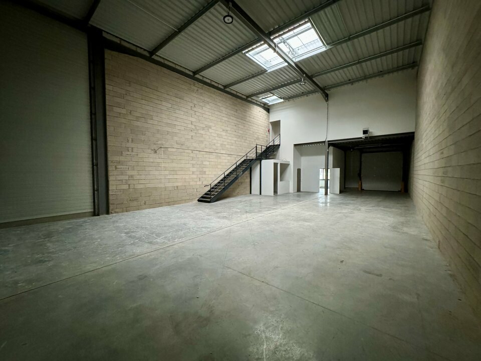 Cellules d'activité neuves