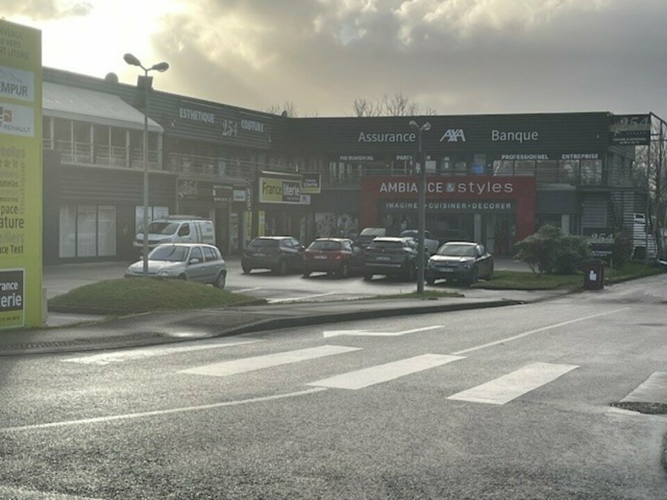 Visuel 4 de l'annonce : LOCATION - LOCAL COMMERCIAL - 356 m2 - KERGARADEC