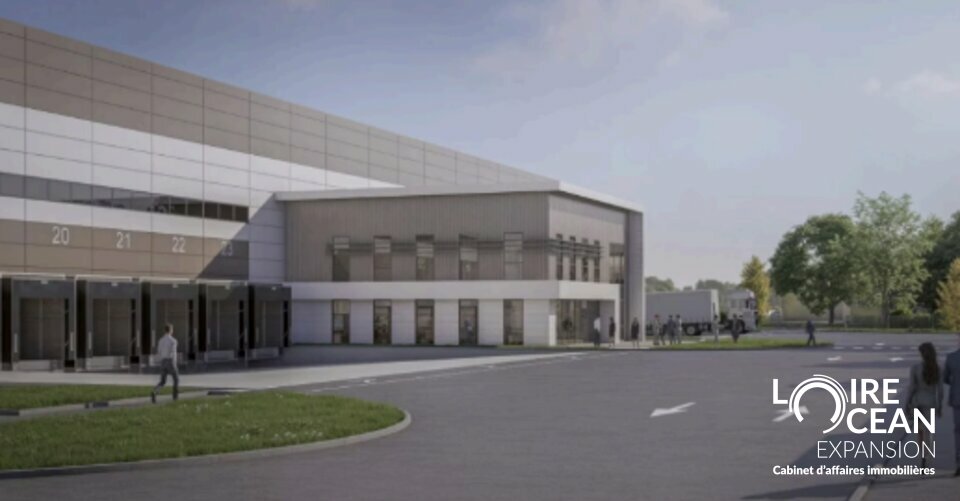 CELLULE TYPE – ENVIRON 5 500 m² (SANS BUREAUX STRUCTURÉS)