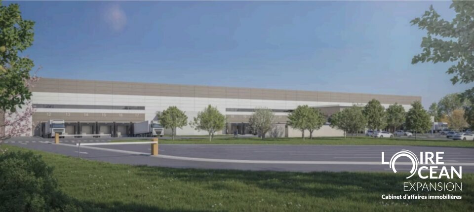 CELLULE TYPE – ENVIRON 5 500 m² (SANS BUREAUX STRUCTURÉS)