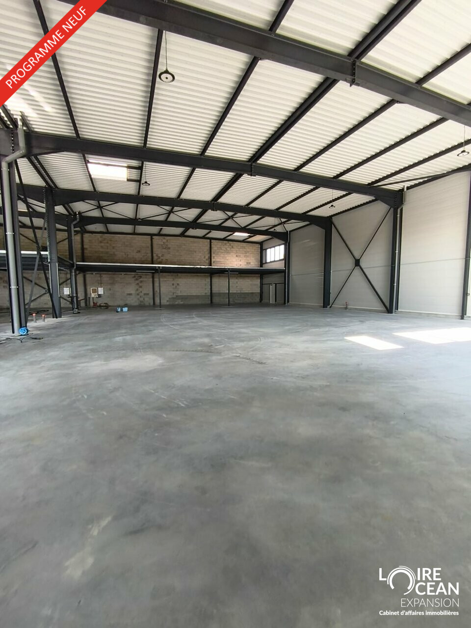 Cellules neuves entre Lamborghini et Ferrari